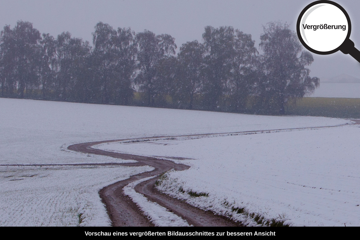 3-104-1557-bild-gross-winter-weg-schneebedecktes-feld_l