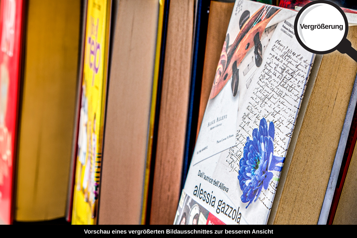 3-109-1355-bild-gross-buchhandlung-interessant_l