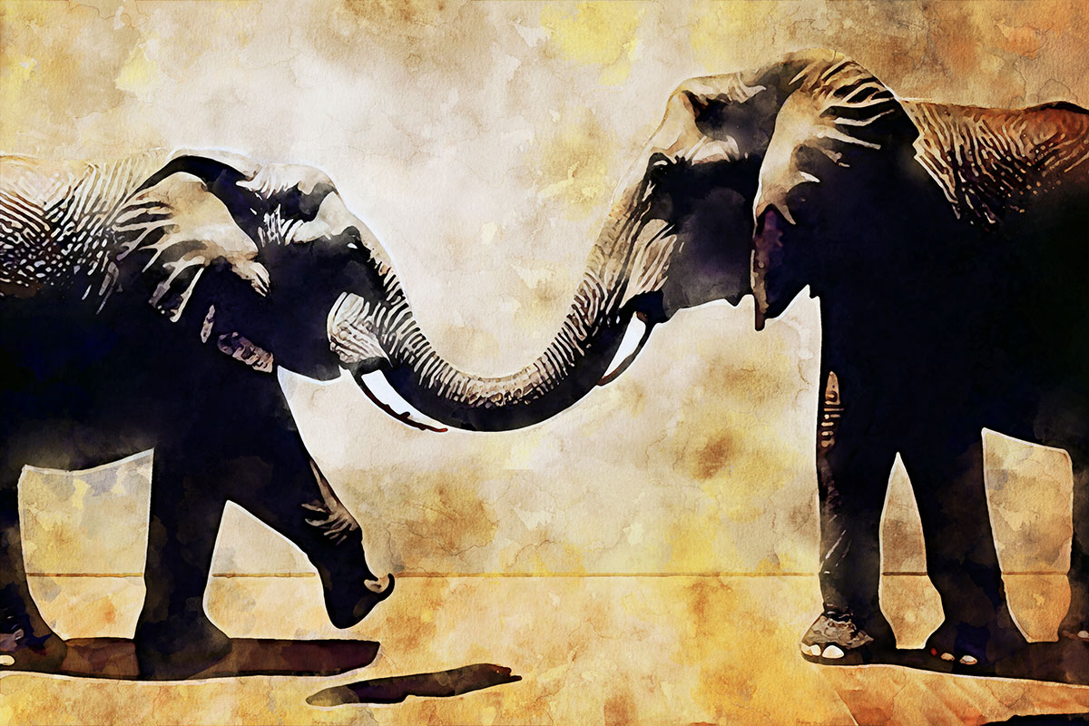 1-218-1226-elefanten-zusammen-leinwand-jeglichen-rahmen_l.jpg