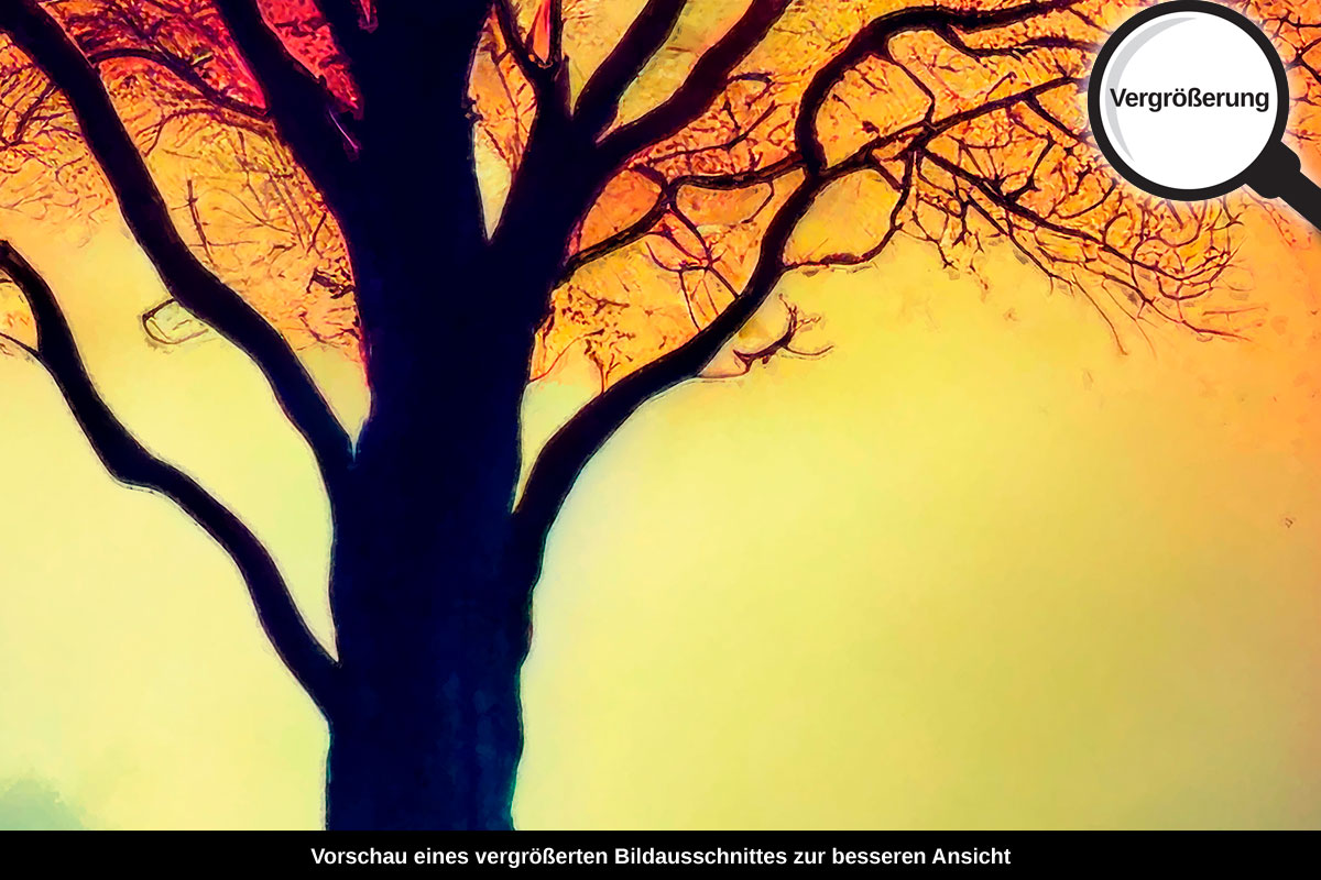 3-218-1345-bild-gross-baum-einsamkeit-nebel_l.jpg