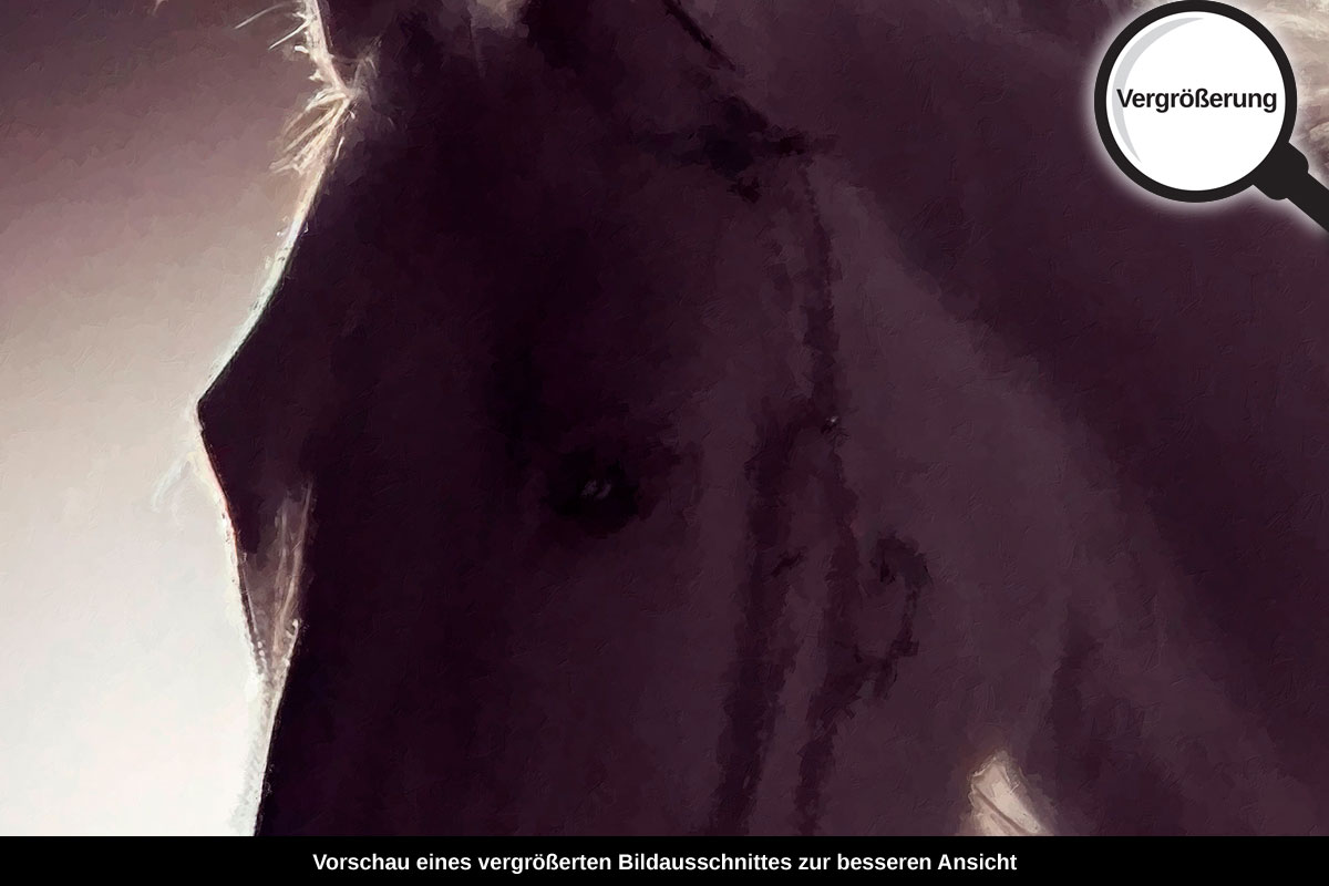 3-214-1335-bild-gross-weisses-pferd_l.jpg