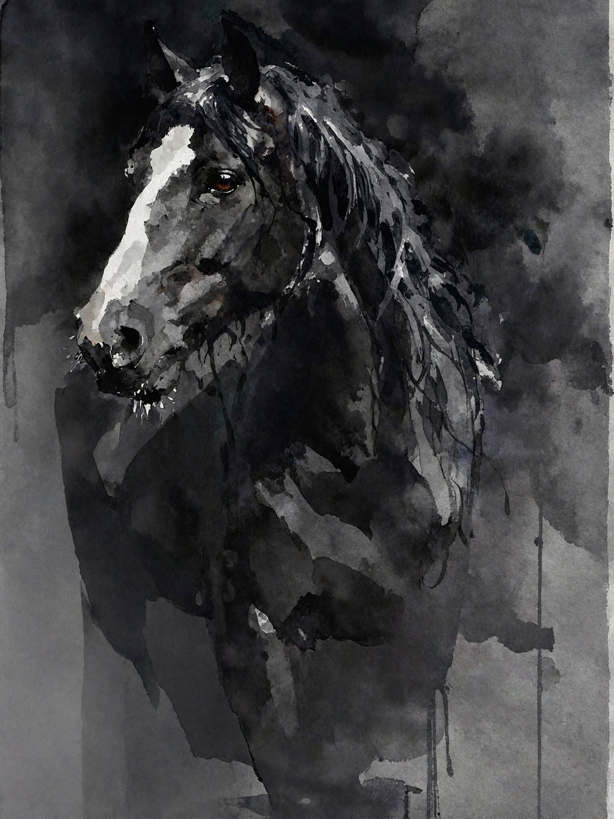 214-1804-schwarzes-Pferd-einem-dunklen-Hintergrund-beruehmter-kuenstler-bildershop.jpg