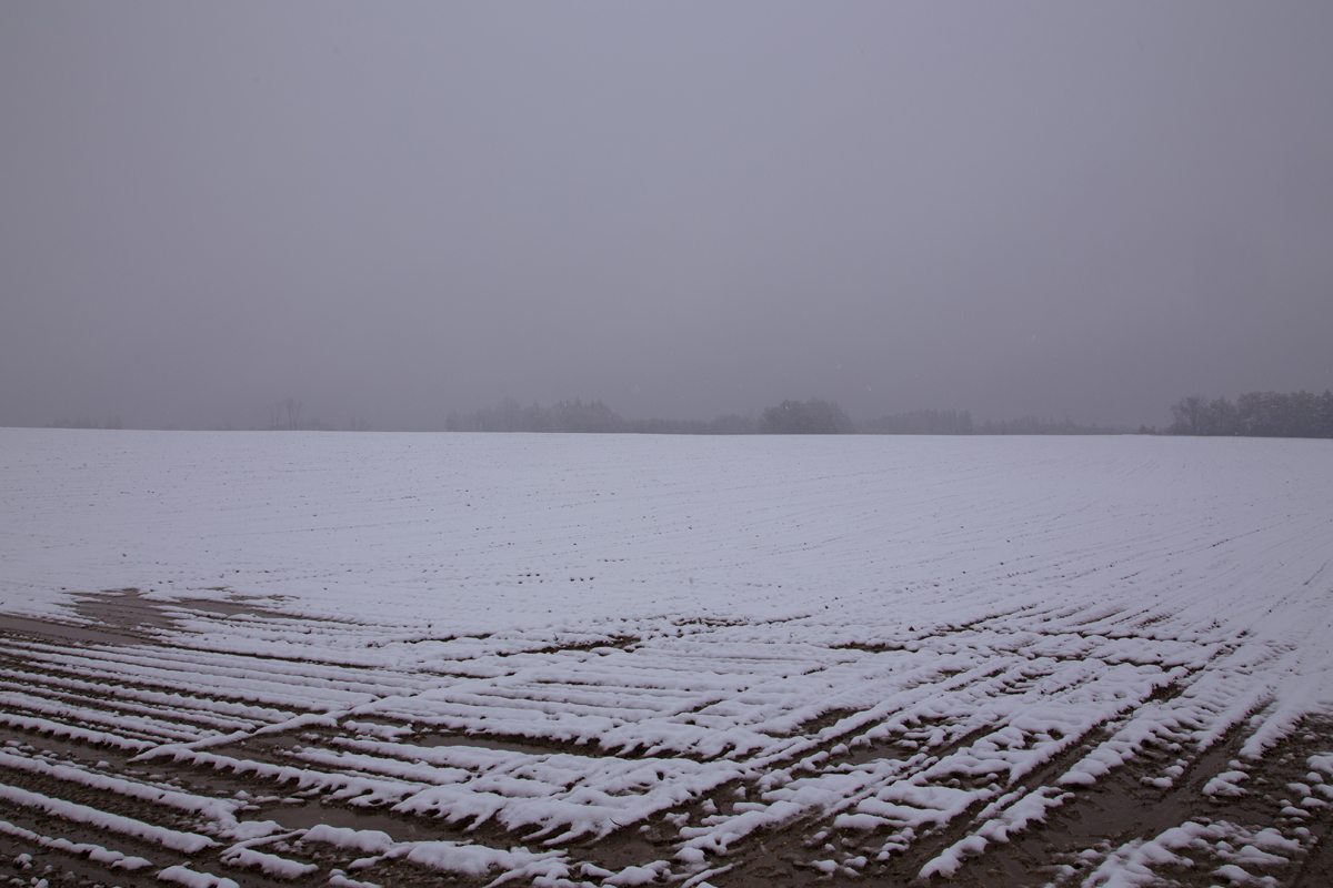 1-105-1558-winterfeld-kaelte-wohnzimmerwand-zeitgenoessische-kunst_l