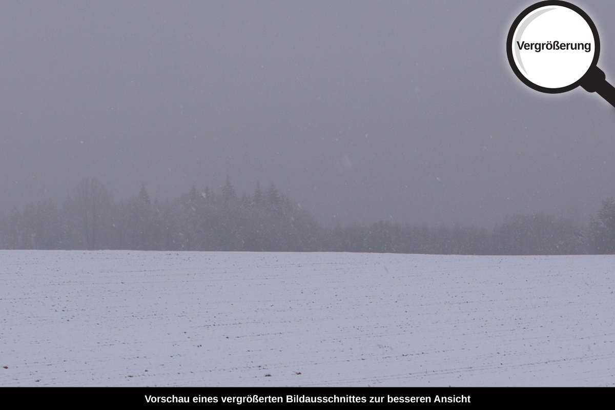 3-105-1558-bild-gross-winterfeld-kaelte_l