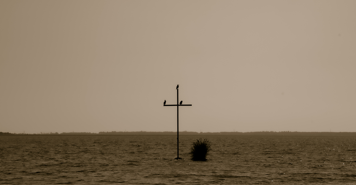 1-105-1554-wasser-kreuz-see-voegel-wohnasseccoires-xxl-bilder_l