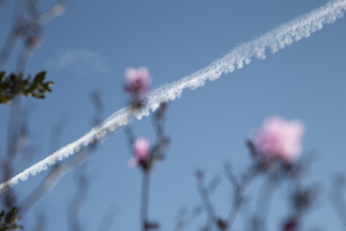 1-109-1426-blumen-flugzeugspur-handsigniert-jeglichen-rahmen_l