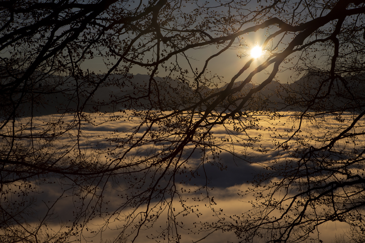 1-112-1467-wolkendecke-sonnenuntergang-zweige-jeglichen-rahmen-online-shop_l