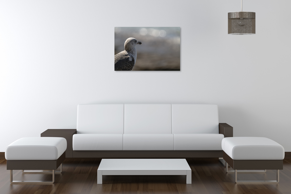 2-114-1686-wohnzimmer-moewe-erholen-seeluft-prints-leinwanddrucke_l