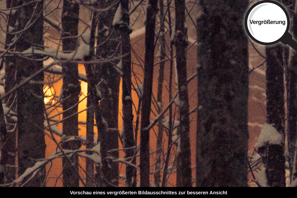 3-104-1287-bild-gross-winter-wald-haus-licht-durch-baeume_l