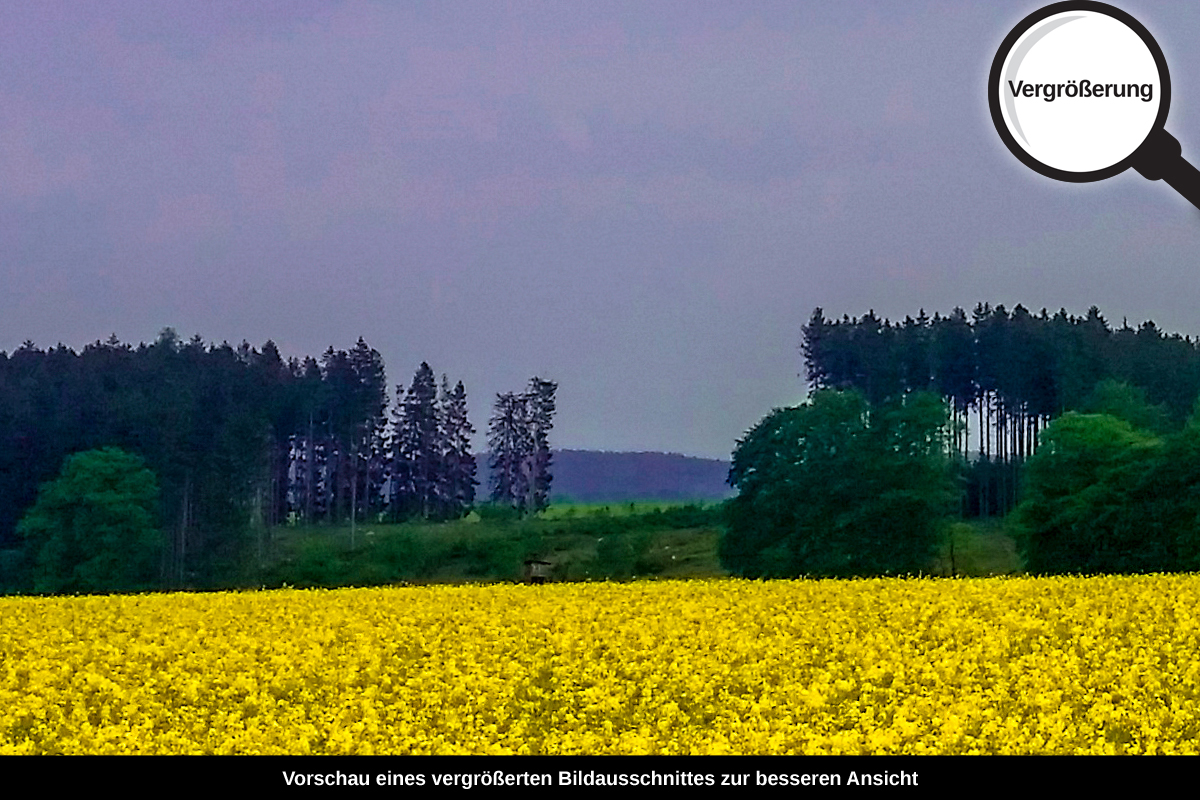 3-105-1643-bild-gross-raps-feld-himmel-wolken_l