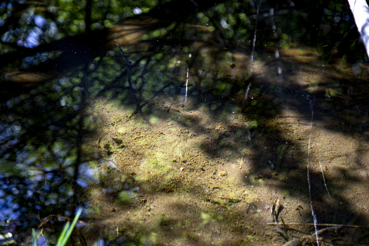 1-108-1097-schatten-sand-sommer-holzbilder-leinwand_l