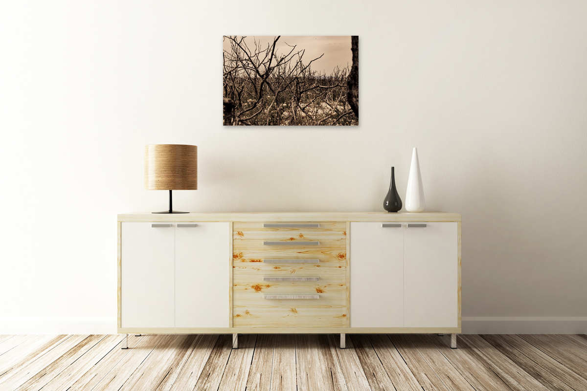 2-108-1112-schlafzimmer-stachelig-trocken-monochrom-reproduktionen-online-galerie_l