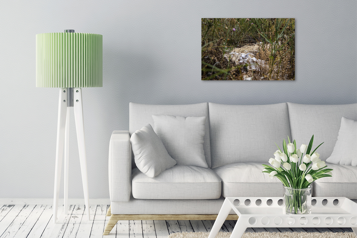 2-108-1114-gastzimmer-natur-gras-blumen-kunstwerken-jeglichen-rahmen_l