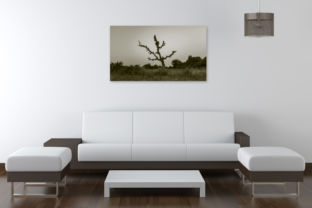 2-109-1023-wohnzimmer-knorrholz-trocken-natur-bild-muenchen-digitaldruck_l