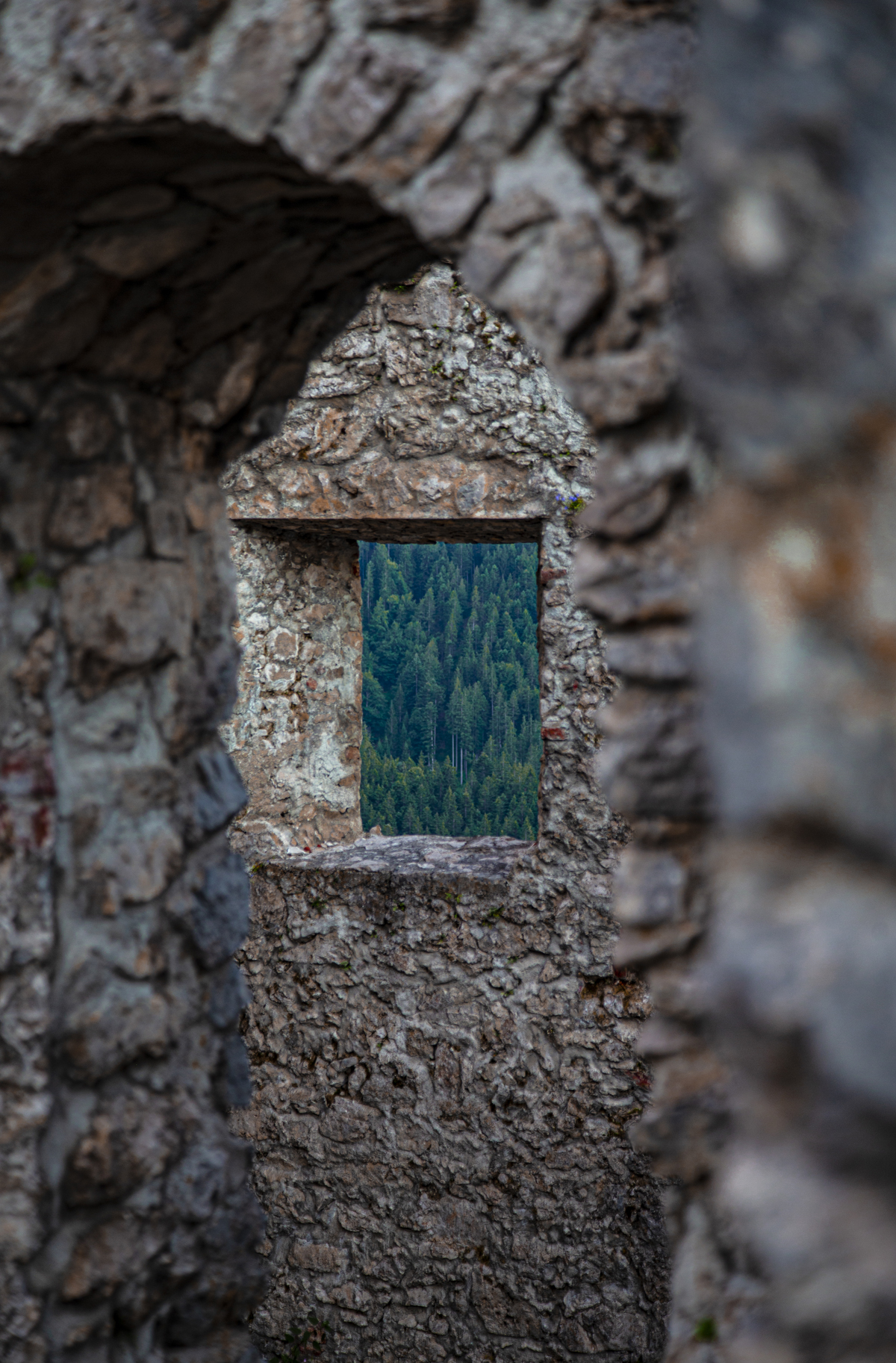 1-109-1181-fenster-turm-stein-portraets-sammlungspraesentation_l