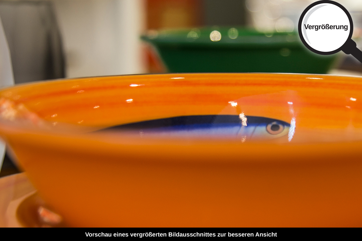 3-109-1314-bild-gross-teller-fisch-kueche_l