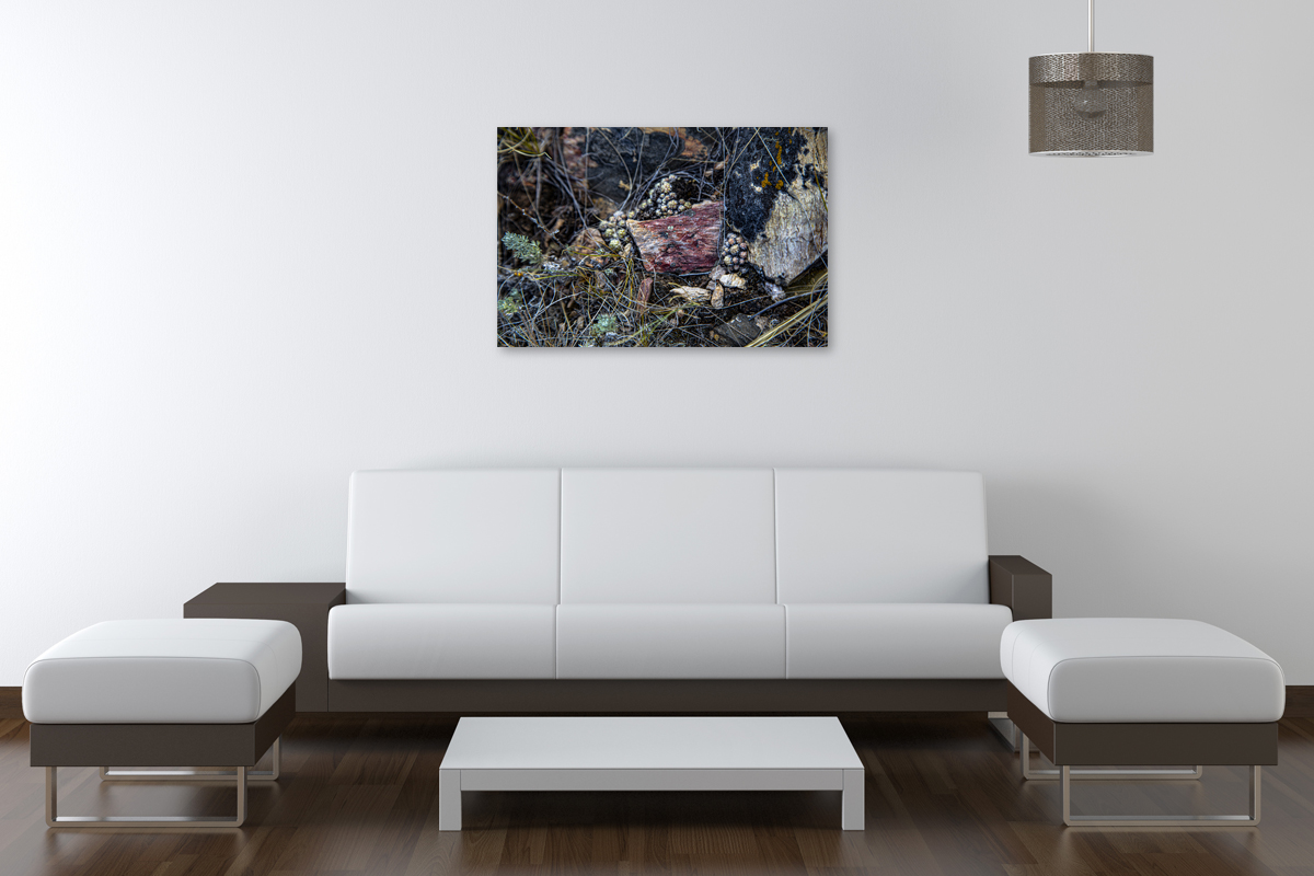 2-109-1427-wohnzimmer-stein-gras-holzbilder-hochwertige-fotokunst_l