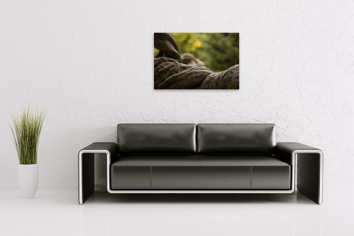 2-109-1487-wohnzimmer-baum-borke-natur-digitaldruck-fotografie_l