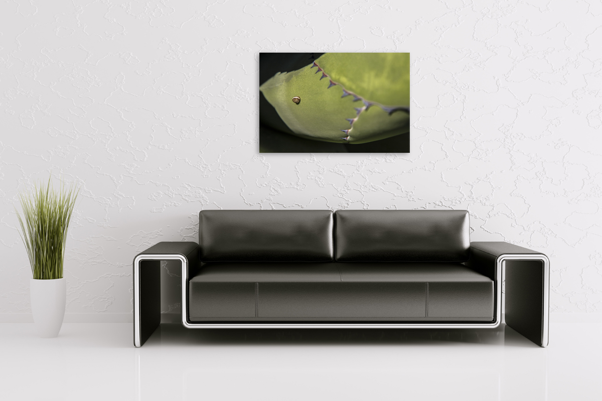 2-109-1581-wohnzimmer-schnecke-blatt-bild-kaufen-contemporary-art_l