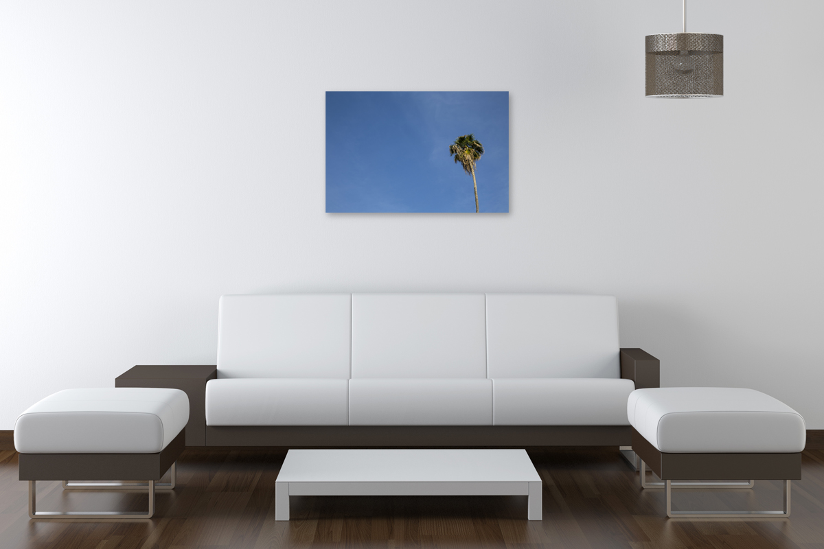 2-109-1600-wohnzimmer-palme-himmel-bilder-online-kaufen-fotokunst_l