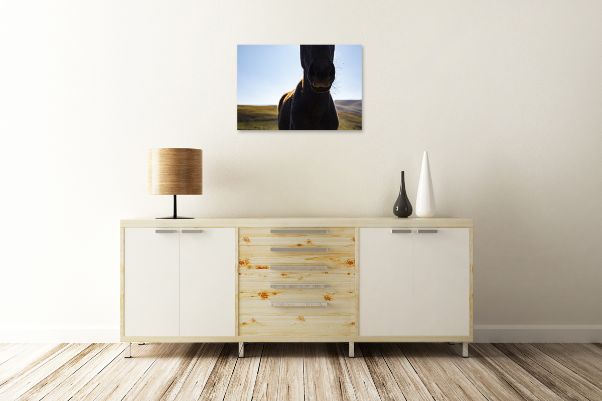 2-114-1515-wohnzimmer-pferd-maul-steppe-wandbild-onlineshop_l