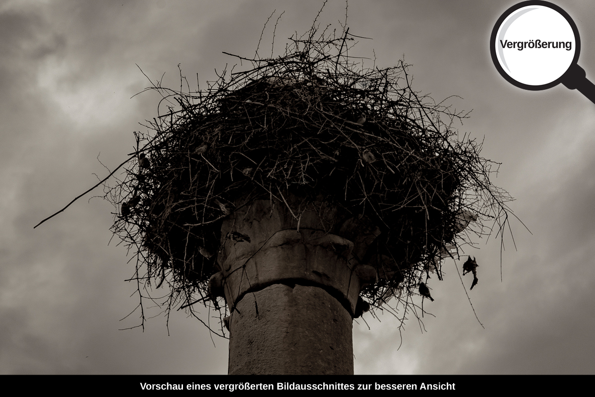 3-114-1537-bild-gross-nest-saeule-grau-finster_l