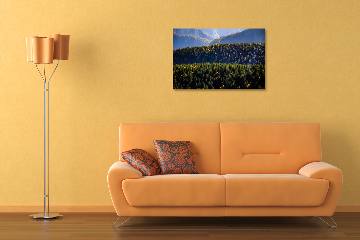 2-108-1001-wohnzimmer-urwald-gipfel-sonnenlicht-motive-contemporary-art_l