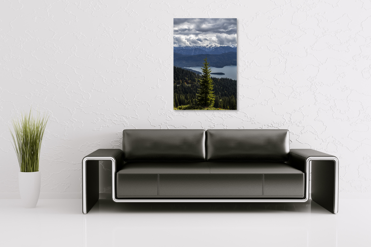 2-108-1077-wohnzimmer-tannenbaum-schneegipfel-schoenheit-zeitgenoessische-fotografie-kunst_l