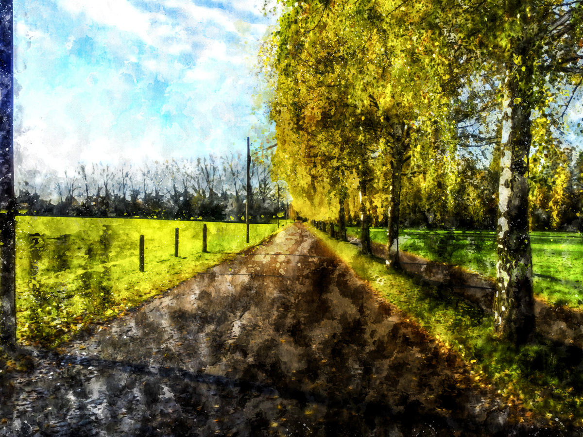 1-204-1008-landschaft-weg-baum-artland-wechselbilderrahmen_l