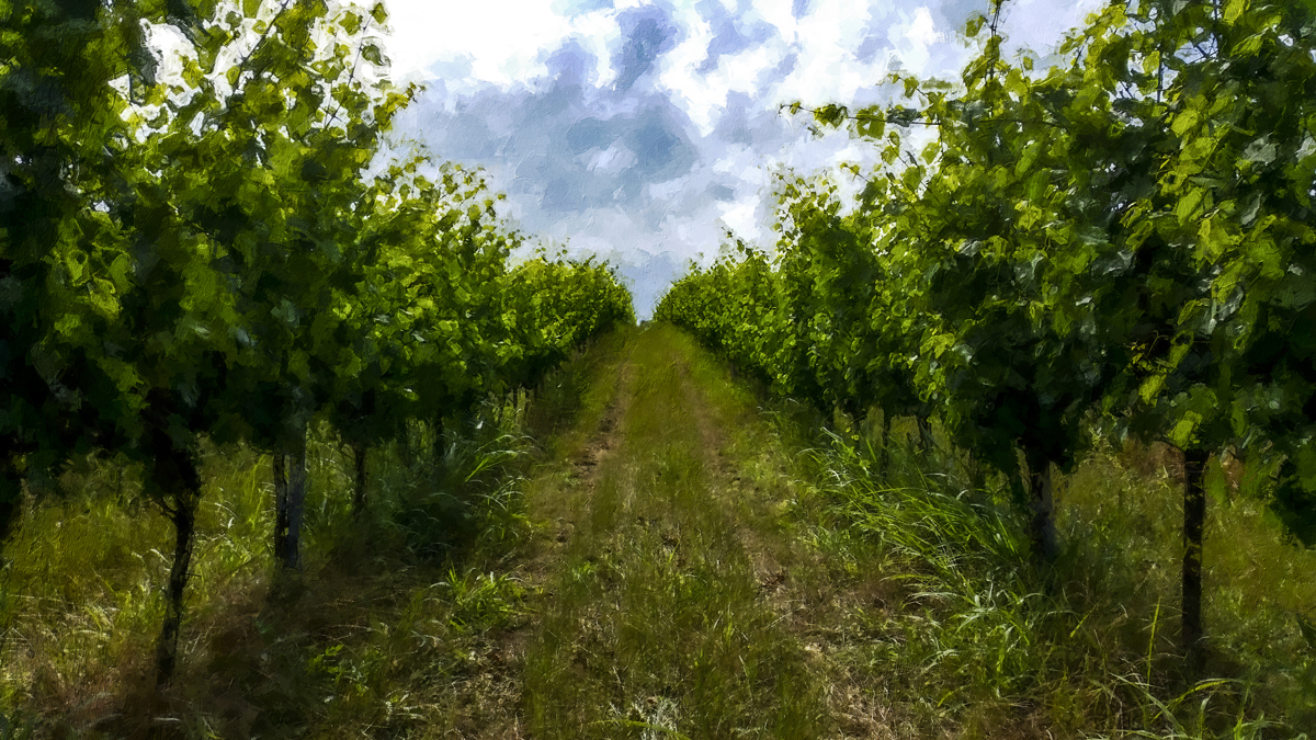 1-204-1020-sommer-garten-beruehmter-fotograf-wandbild_l