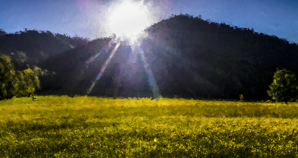 1-208-1061-sonne-berg-blumenfeld-kunstdruck-fotokunst_l