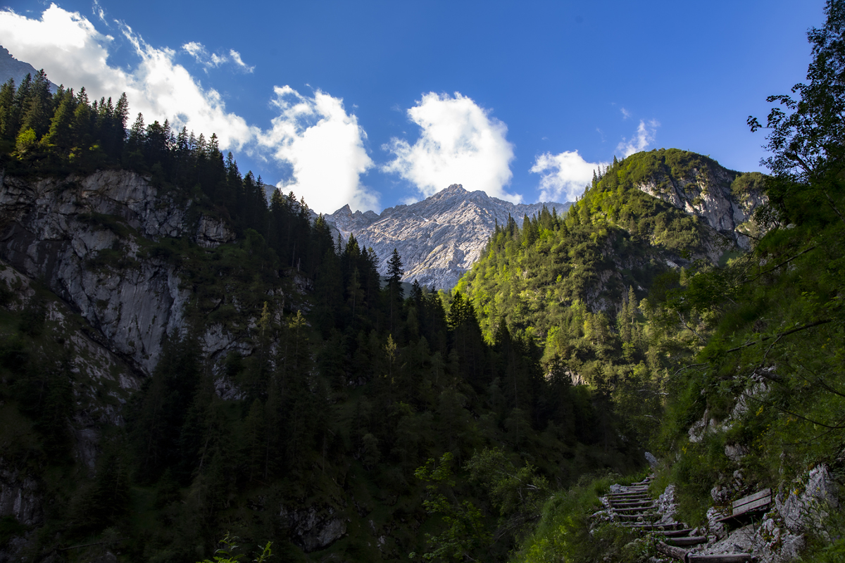 1-108-1208-wald-abdachung-schoenheit-natur-xxl-bilder-unikat_l