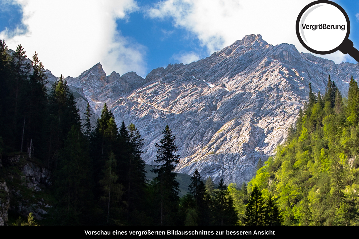 3-108-1208-bild-gross-wald-abdachung-schoenheit_l