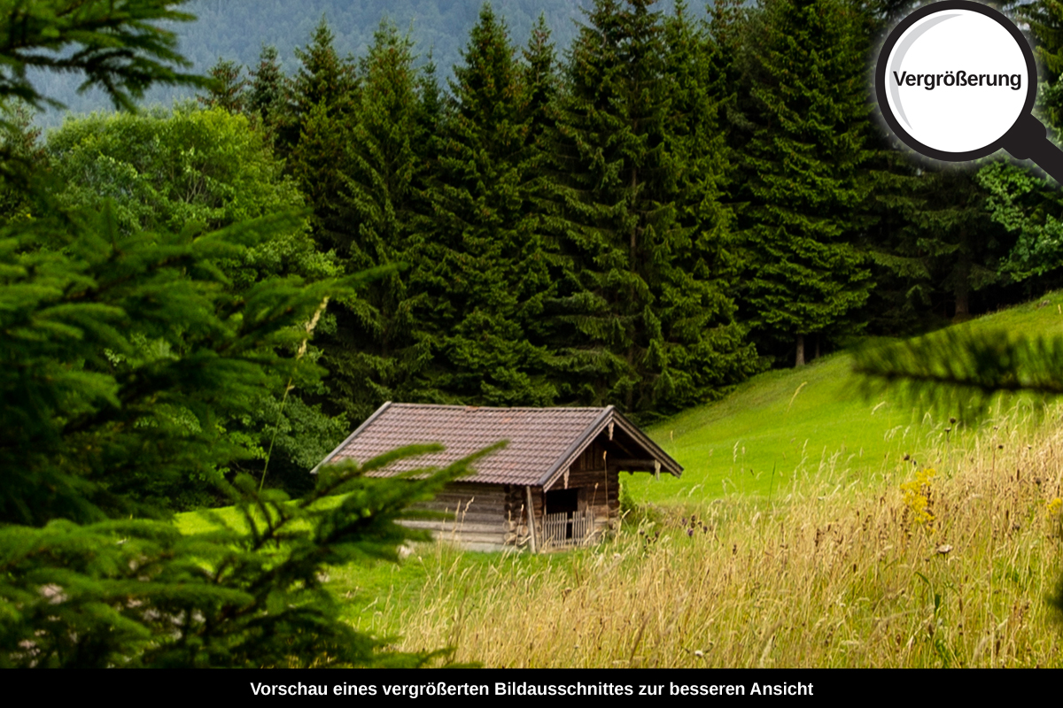 3-108-1234-bild-gross-haeuschen-tannen-schneegipfel_l