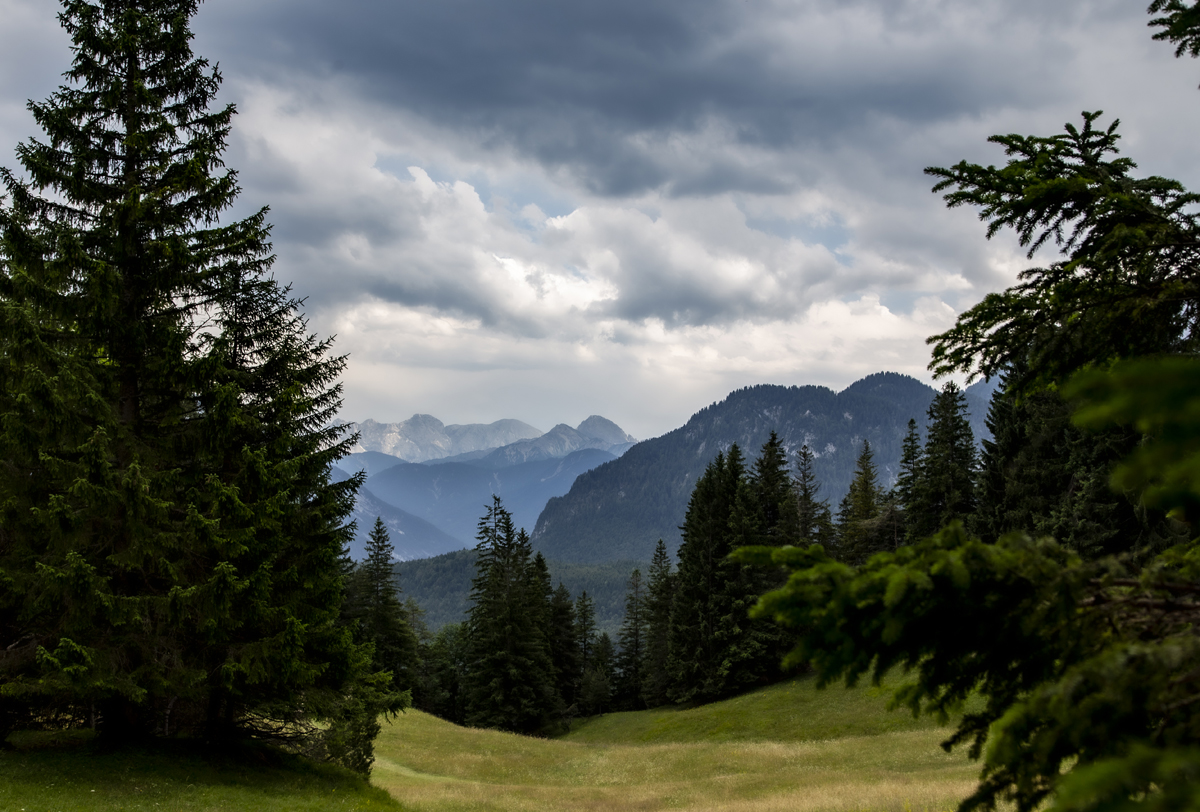 1-108-1241-tannen-wandern-regenwolken-gallery-hochzeitsfotos_l