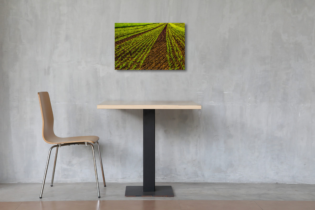 2-205-1082-kueche-junges-feld-digitaldruck-porträts_l