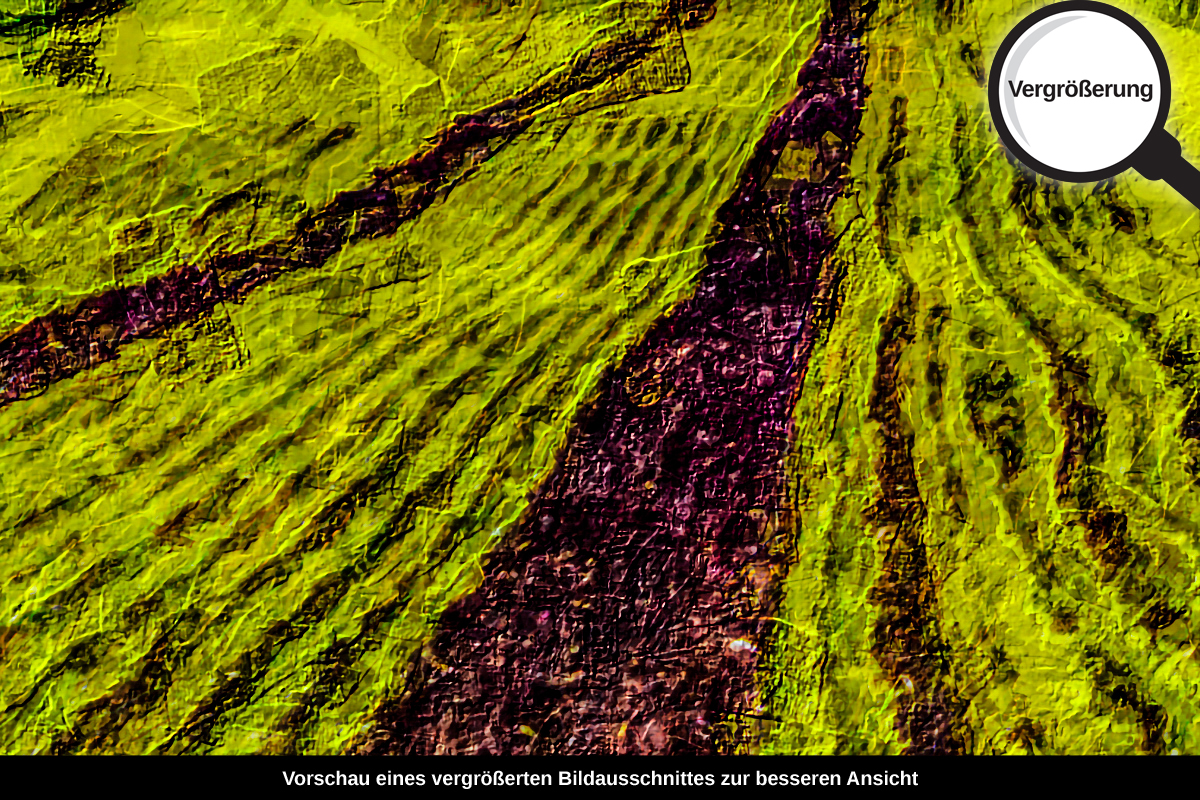3-205-1082-bild-gross-junges-feld_l