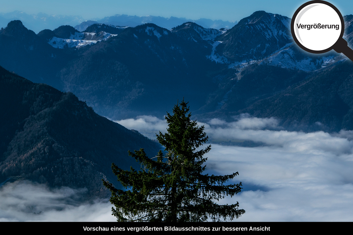 3-108-1418-bild-gross-fichtelbaum-nebel-hoehe_l