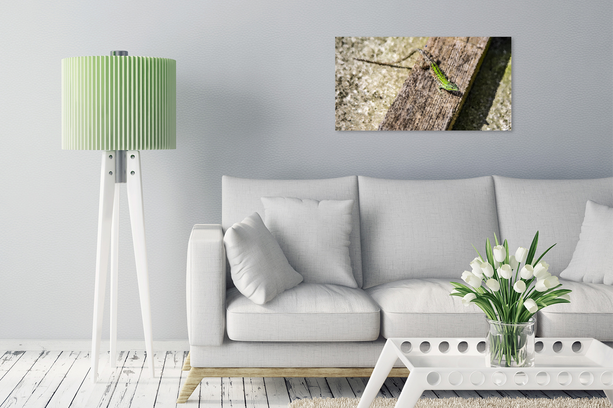 2-214-1083-gastzimmer-echse-gruen-top-qualitaet-bilder-kaufen-online_l