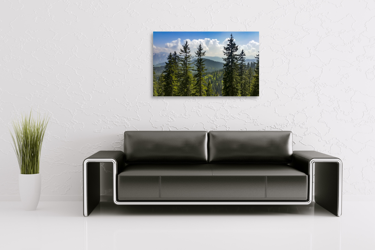 2-109-1645-wohnzimmer-tannen-kronen-hochzeitsfotos-hochwertige-sonderanfertigungen_l