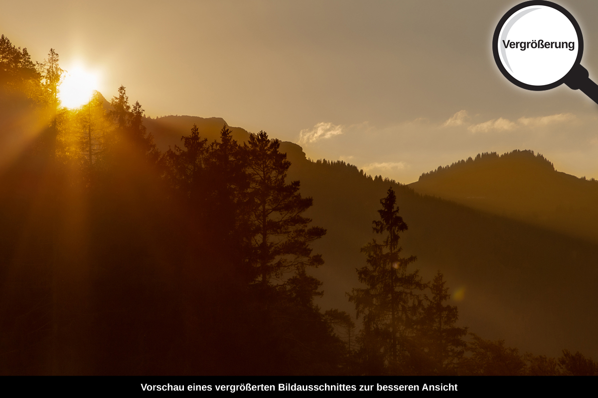 3-112-1177-bild-gross-sonnenuntergang-abdachung-tannen_l