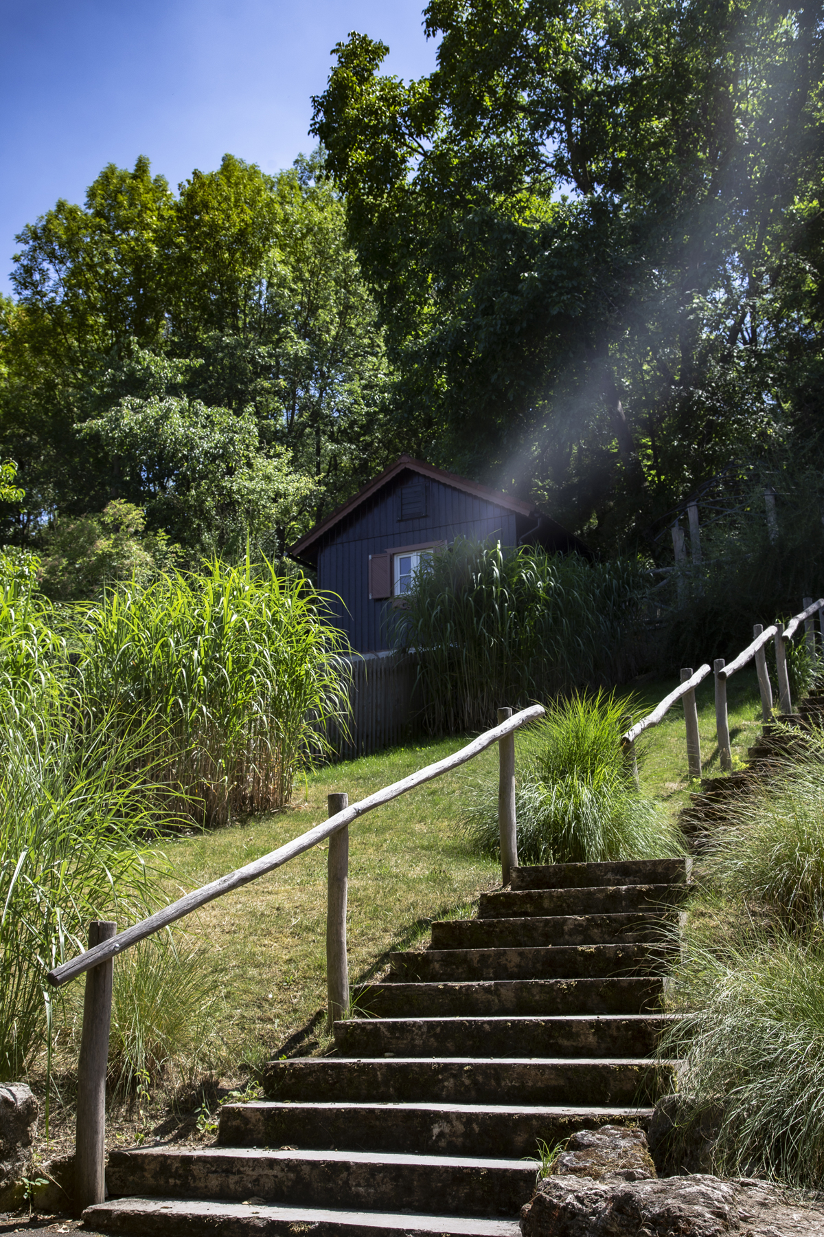 1-104-1150-treppe-haus-natur-digitaldruck-exklusive-bilder_l