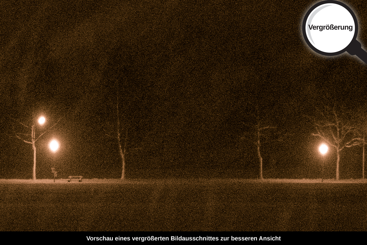 3-107-1305-bild-gross-winter-allee-in-der-nacht_l