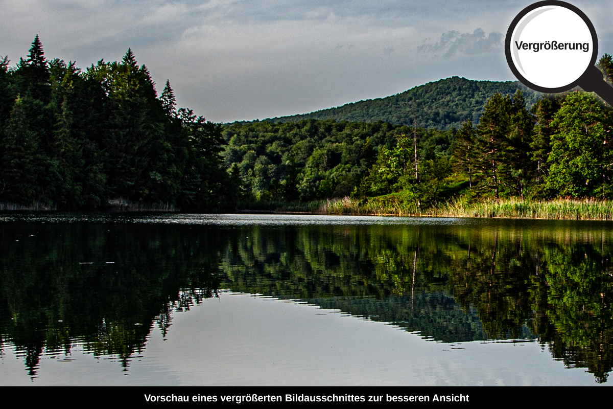 3-108-1192-bild-gross-spiegel-natur-reisen_l