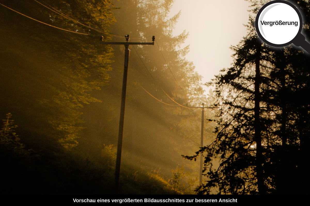 3-110-1201-bild-gross-frueher-morgen-bahn-reisen_l