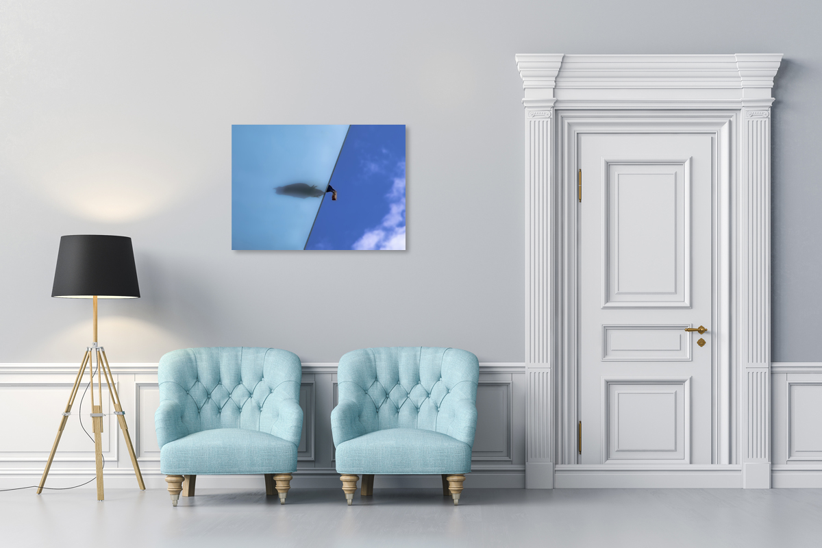 2-114-1294-flur-vogel-brot-fang-himmel-wohnzimmerwand-prints_l