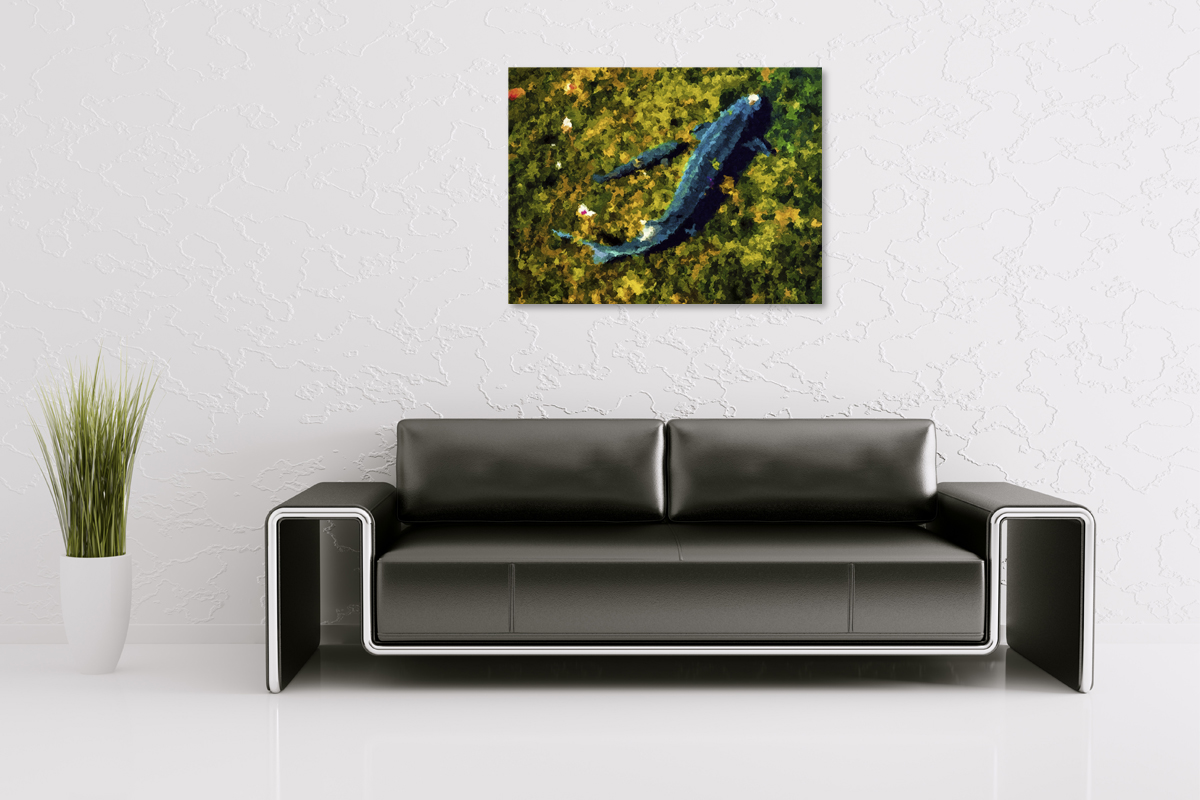 2-214-1168-wohnzimmer-fische-klares-wasser-praesentation-coole-bilder_l