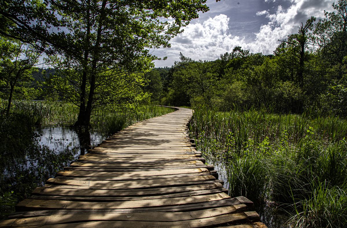 1-104-1118-holz-weg-teich-natur-moor-bildershop-coole-bilder_l