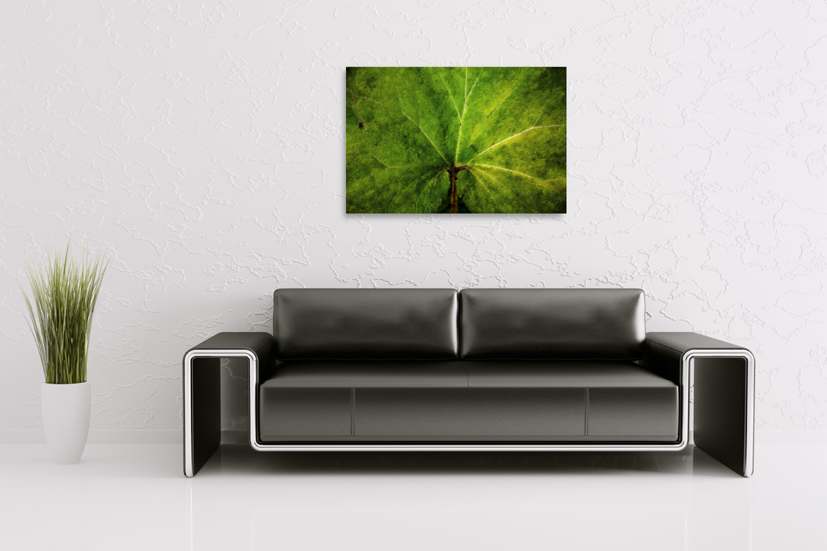 2-208-1068-wohnzimmer-gruenes-blatt-kunstdrucke-fotokunst-online-kaufen_l