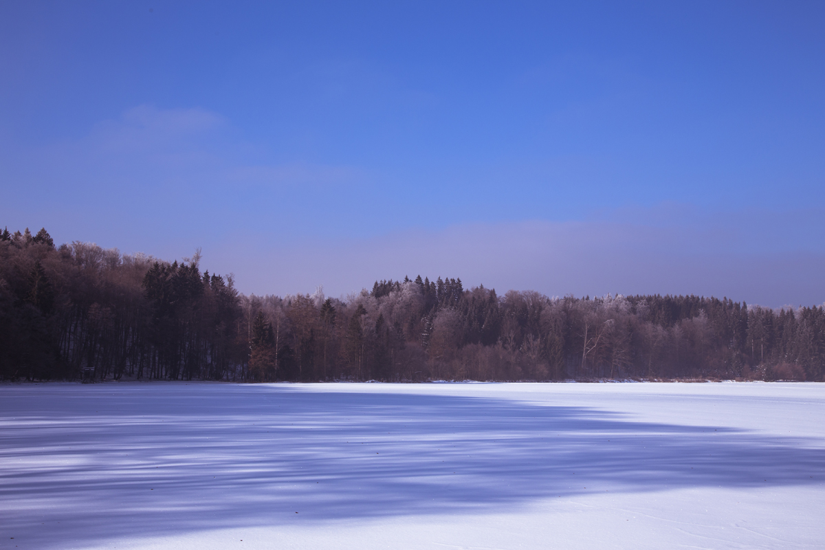 1-108-1371-winterfeld-frostig-sonnig-gallery-gemaelde_l